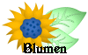 Blumen