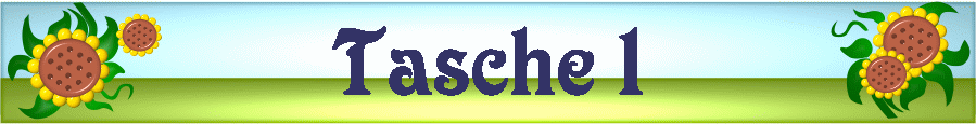 Tasche 1