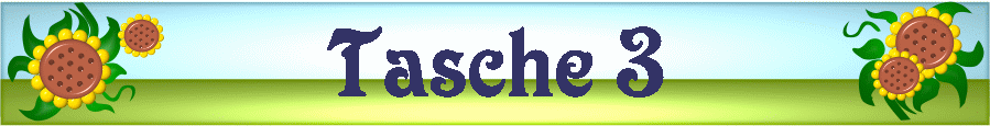 Tasche 3