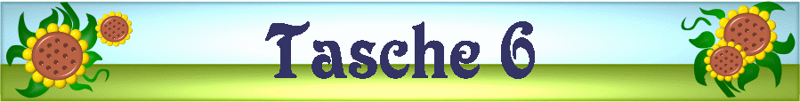 Tasche 6