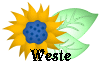 Weste